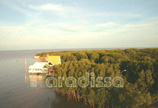 Cape Ca Mau - southernmost inland area of Vietnam