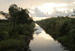 U Minh Ha National Park