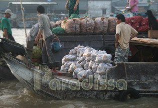 Le marché flottant de Cai Rang, Can Tho, Vietnam