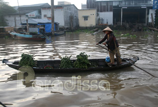 Rowing boat with areca fruits at Cai Rang