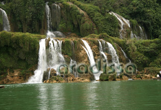 Green moss at Ban Gioc Waterfall