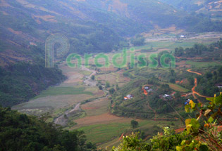 Rice Valley at Cao Bang, Vietnam