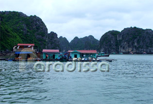 Village floatant près de l'île de Cat Ba