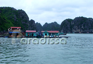 Floating Village near Cat Ba Island Floating Village near Cat Ba Island