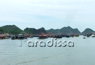 Cat Ba Island Pier