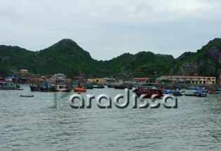 port de pêche de l'île de Cat Ba