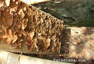 Booby trap at Cu Chi Tunnel