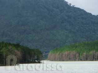 The Tuyen Lam Lake