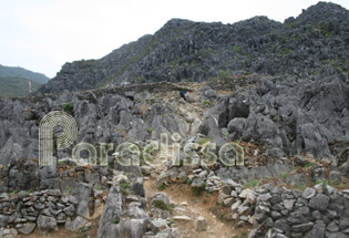 Dong Van Rock Plateau - Ha Giang - Vietnam