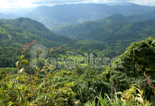 Hoang Su Phi mountains of Ha Giang Province