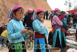 Des jeunes filles Hmong au marché de Ma Le