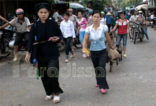 A Tay lady at Hoang Su Phi - Ha Giang