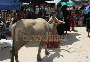 The Sunday market at Coc Pai Xin Man, Ha Giang