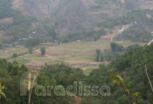 Des rizières en terrasse manquant d'eau à Yen Minh