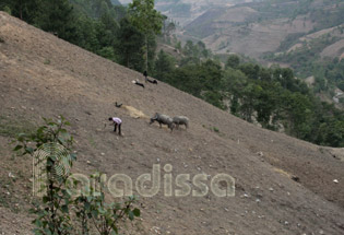 Les flancs de montagnes arides