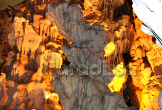 Une stalagmite ressemble à un crocodile