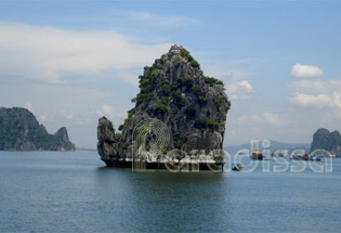 îlot de cygne dans la baie d'Halong au Vietnam