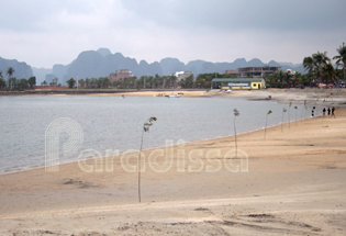 Une plage sur l’île de Tuan Chau