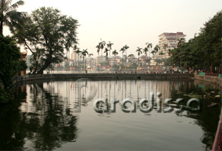 Areca palm trees at a corner of the West Lake