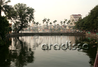 The areca palm trees on the path from Thanh Nien Road to the Tran Quoc Pagoda