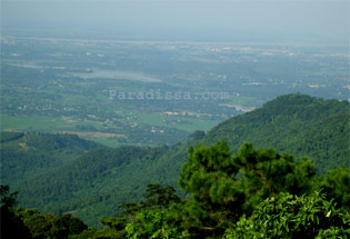 Fresh Nature of Ba Vi National Park Vietnam