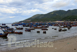 The fishing port in Nha Trang The fishing port in Nha Trang