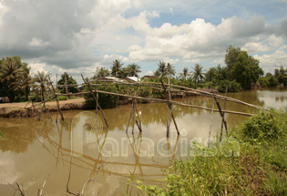 A monkey bridge in Kien Giang Vietnam