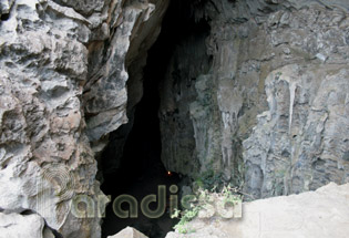 Though the cave is huge, the opening is just small Though the cave is huge, the opening is just small