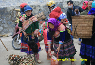 Hmong ladies with chickens