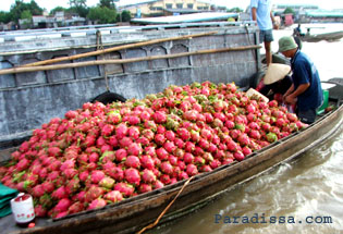 Fruit boat Mekong River Vietnam Fruit boat Mekong River Vietnam