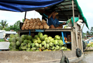 Lovely life on the Mekong River Vietnam