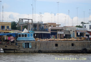 Marché flottant du delta du Mékong Vietnam