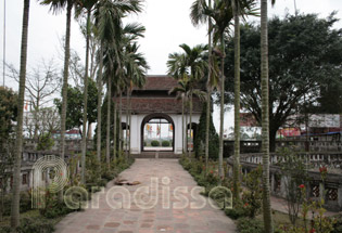 Areca palm trees at the entrance to the pagoda