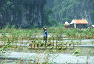 La vie transquile à Thung Nang