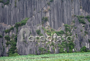 Les rochers à Van Long Ninh Binh sont semblable à ceux de la baie d'Along Bay et dans le plateau de Dong Van (Ha Giang)