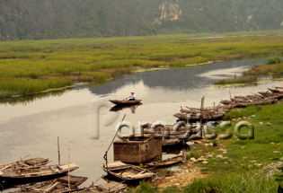 Sampan trip in Van Long Ninh Binh