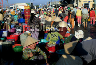 Marché au poisson de Dong Hai 