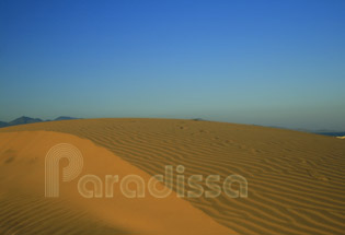 Dune de sable de Nam Cuong