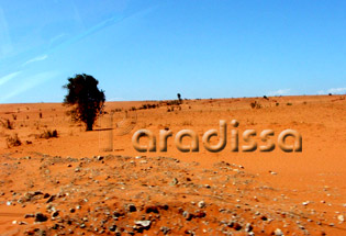 The red sand of Phan Thiet Mui Ne