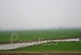 The Red River Delta in Phu Tho The Red River Delta in Phu Tho