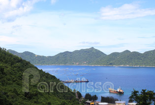 Vung Ro, Phu Yen Vietnam