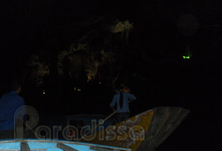 Inside the Phong Nha Cave