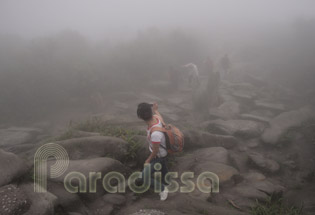 Looking down the rocky path in fog at Yen Tu