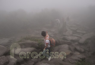 Looking down the rocky path in fog at Yen Tu Looking down the rocky path in fog at Yen Tu