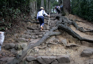 A steep walkway at the Yen Tu Pagoda - Quang Ninh