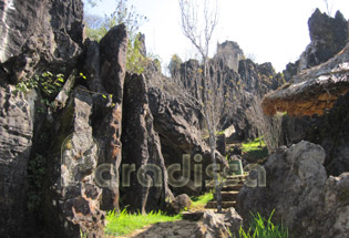 Rock formations at Ham Rong Mountain