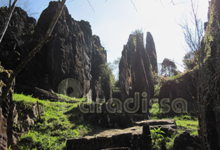 Rock garden on Ham Rong Mountain