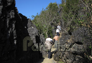 Climbing to the top of Ham Rong Mountain