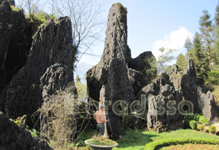 Amazing rocks of Ham Rong Mountain