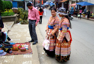 Flower H'mong Sapa